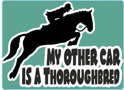 Horsebox decal other - other, is